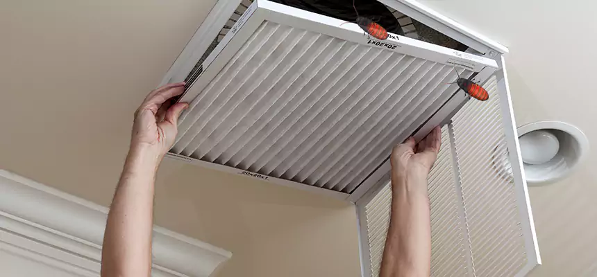 Preventive Cockroach-Proofing for Ducts in Monterey Park