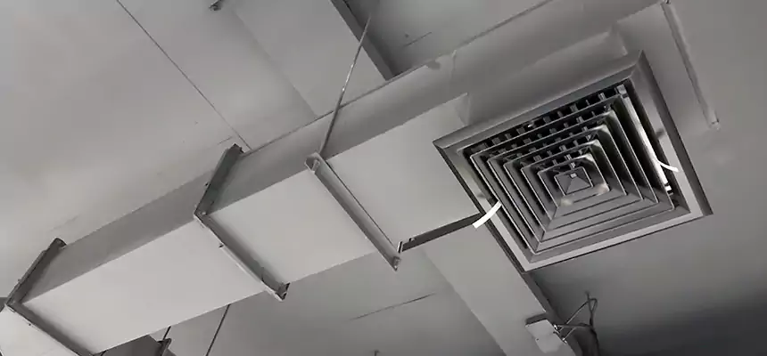 Our Rodent Droppings In Vents Services in Monterey Park, CA