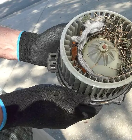 About Air Duct Rat Removal in Monterey Park, CA