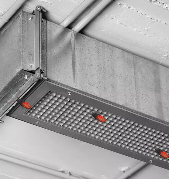 Affordable Insect Removal from Air Ducts in Monterey Park, CA