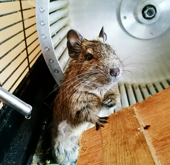 Why Homeowners & Businesses Trust Us Monterey Park, CA?