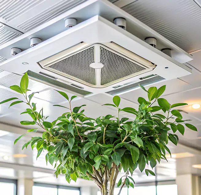 Why Homeowners & Businesses Trust Us in Monterey Park, CA